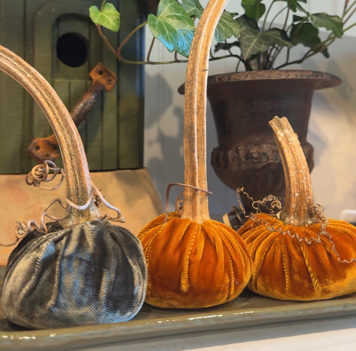 Joellen’s Pumpkins